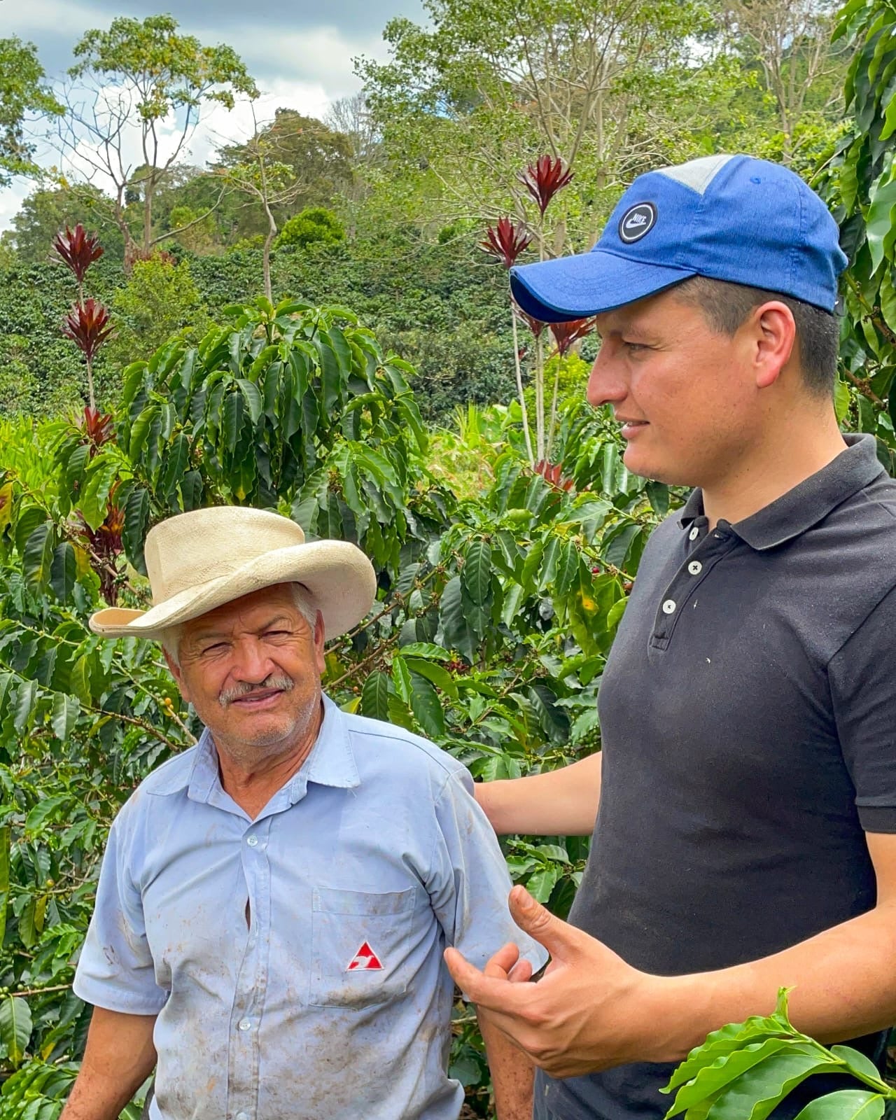 Why Specialty Roasters in Australia Choose Colombian Green Coffee