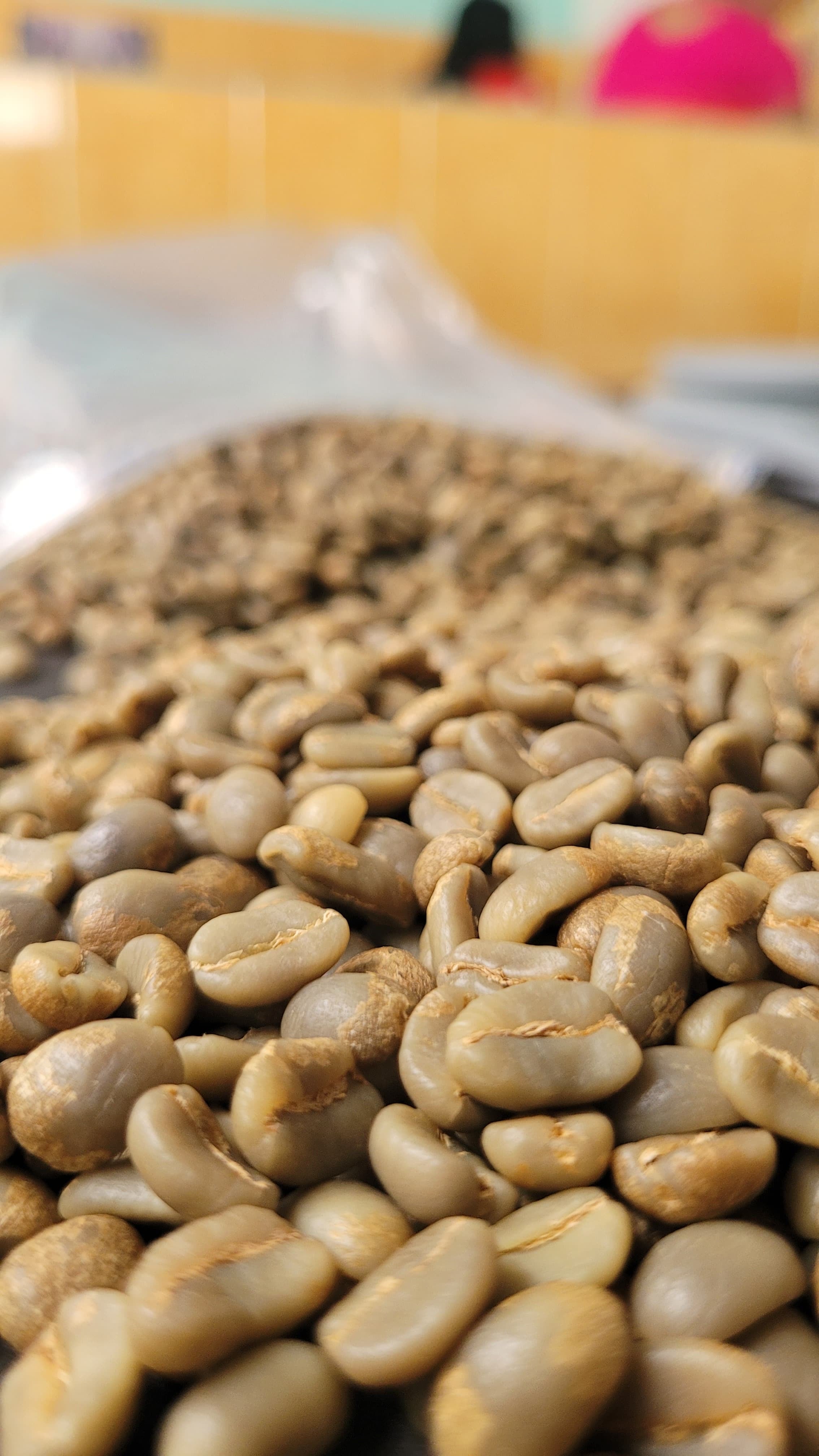 Castillo Washed, Honey & Natural